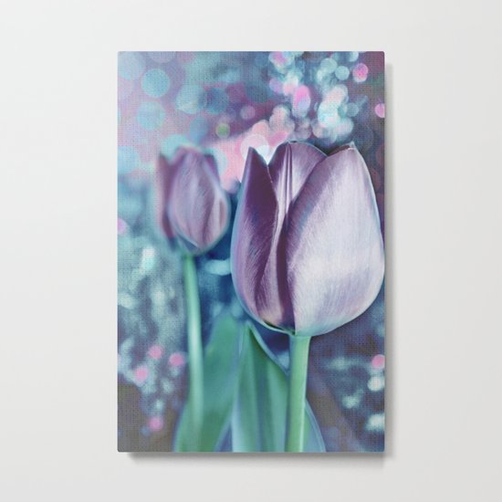 Purple tulips. Metal Print
