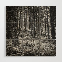 Black and White Forest Wood Wall Art