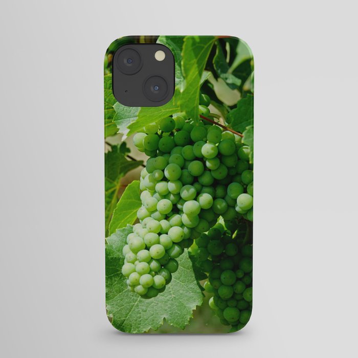 Riesling grapes in Alsace, France iPhone Case