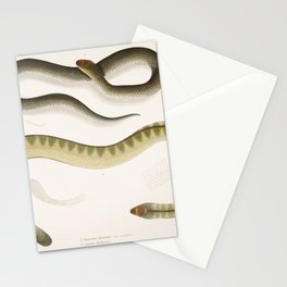 Penang Hypserina & Hardwicke's Short Sea Snake Stationery Card