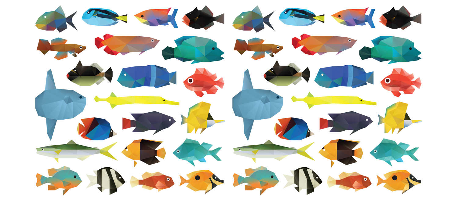 Fish Chart