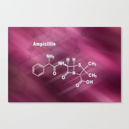 Ampicillin, antibiotic drug, Structural chemical formula Canvas Print