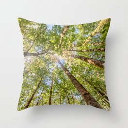 Looking Up In the Vancouver Forest Throw Pillow