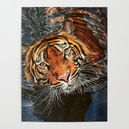 Tiger Shadow Poster