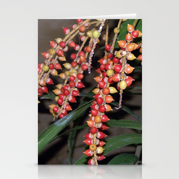 coffee plant (Bali, Indonesia) Stationery Cards