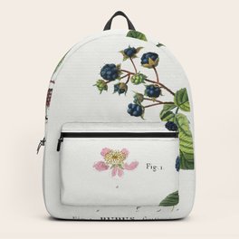 1 Blackberry (Rubus fruticosus) 2 Dewberry (Rubus caesius) from Traite des Arbres et Arbustes que lo Backpack