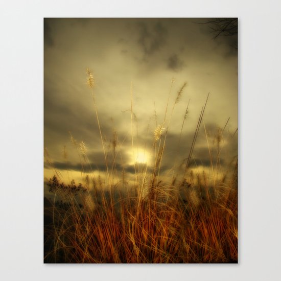 Exit Of Summer Canvas Print