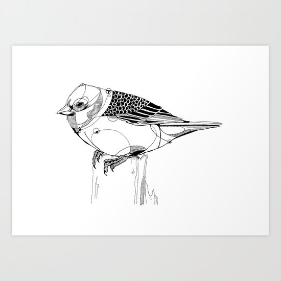 Sparrow Art Print