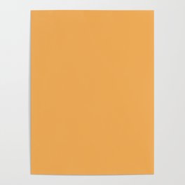 Medium Apricot Solid Color Pairs Pantone Amber 14-1045 TCX - Shades of Orange Hues Poster