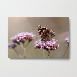 Red admiral butterfly on purple flowers Metal Print | Color, Insect, Summer, Macro, Floral, Flower, Nature Photography, Digital, Flowers, Photo 