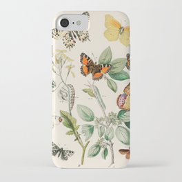 Butterflies and Moths Pattern Lepidoptera WF Kirby iPhone Case