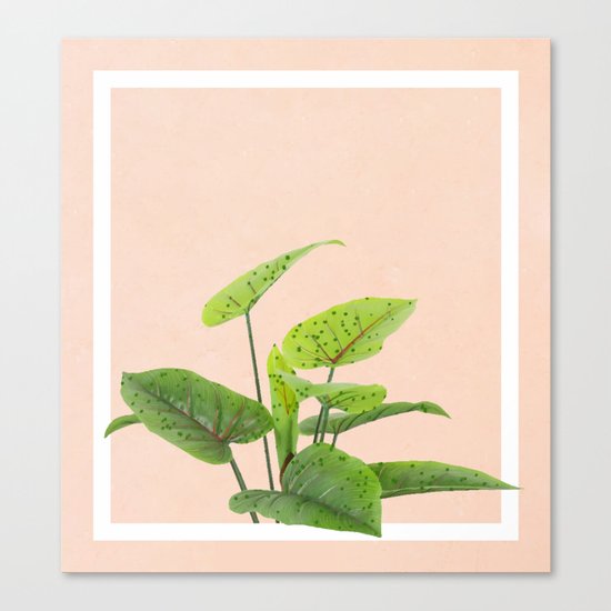 Botanical Art #society6 #decor #lifestyle #buyart Canvas Print