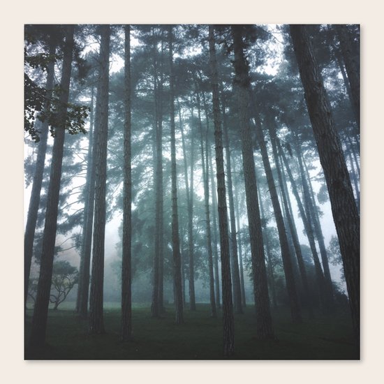 Wanderlust Canvas Print
