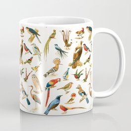 Beautiful vintage birds painting Coffee Mug
