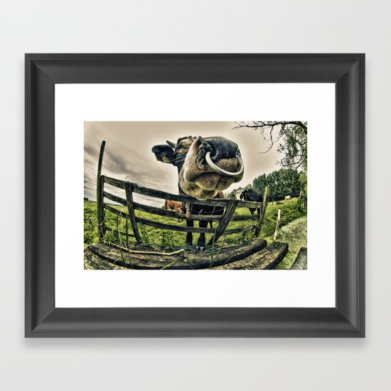 Holy cow its a bull Framed Art Print