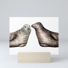 Grey seals(Halichoerus grypus) Mini Art Print
