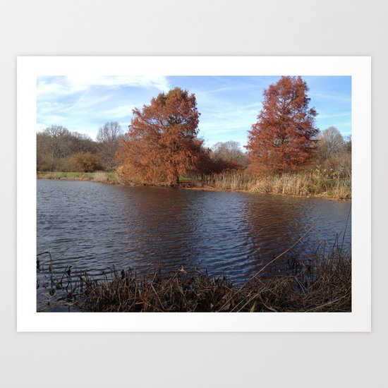 Pool of Iron Art Print