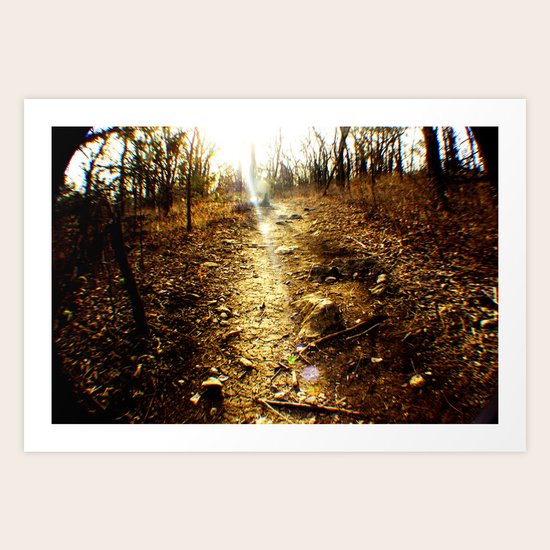 Untitled Art Print