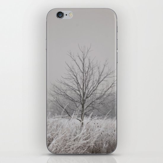 Wintered iPhone & iPod Skin