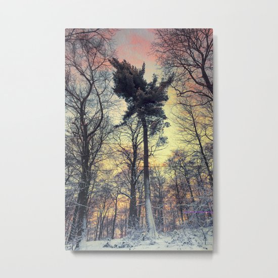 winter evening Metal Print