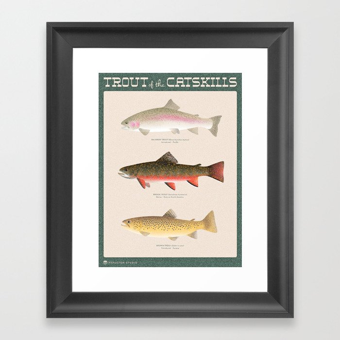 Trout Of The Catskills Framed Art Print