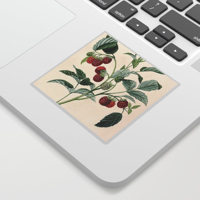 Plant Sticker