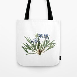 Vintage Dwarf Crested Iris Botanical Illustration on Pure White Tote Bag