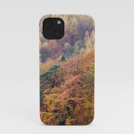 Autumn Trees Panorama iPhone Case