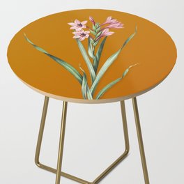 Vintage Sword Lily Botanical Illustration on Bright Orange Side Table