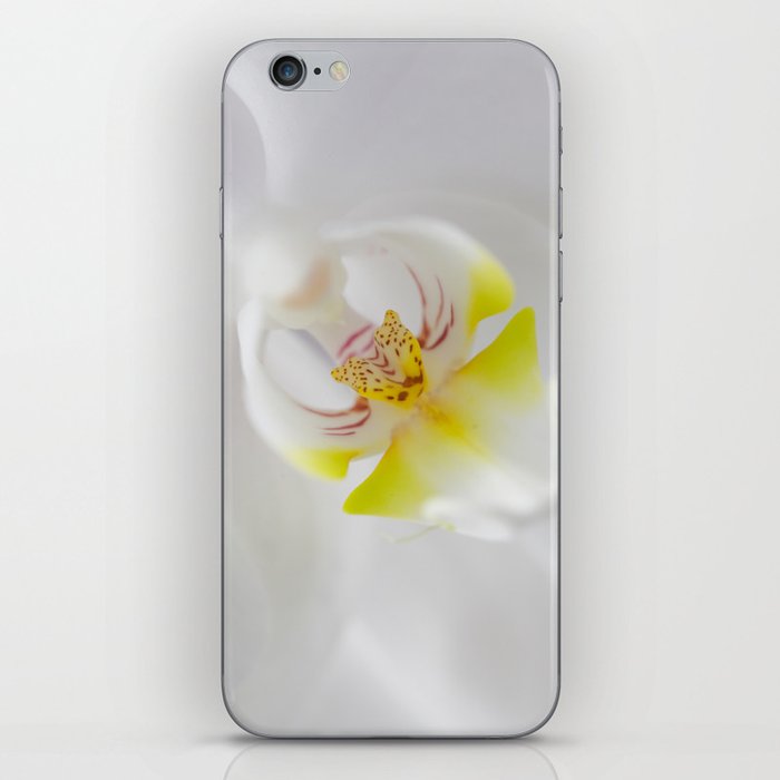 Orchid V iPhone Skin