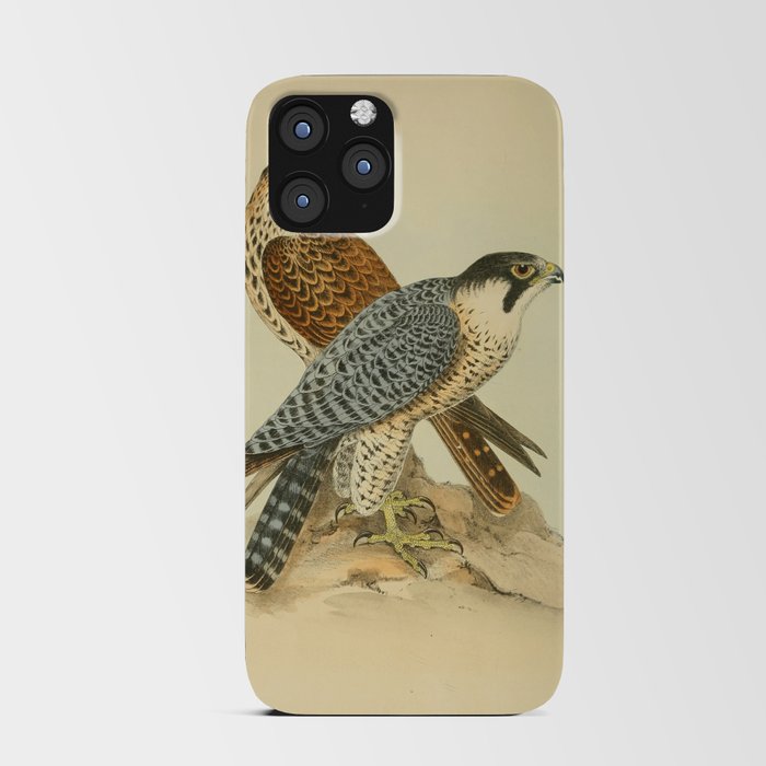 Peregrine Falcon by Henry Leonard Meyer, 1853 (benefitting The Nature Conservancy) iPhone Card Case