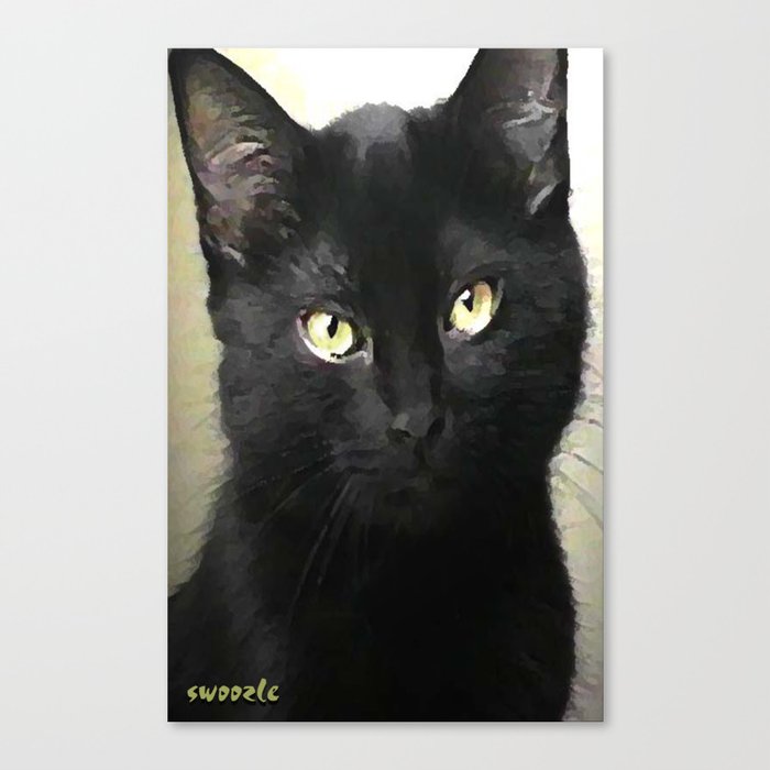 Swoozle's Black Cat in Repose Canvas Print