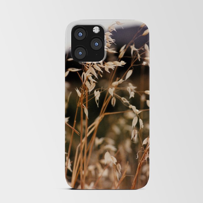 Sonoran Desert Indian Ricegrass iPhone Card Case