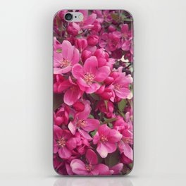 Pink crabapple in bloom iPhone Skin
