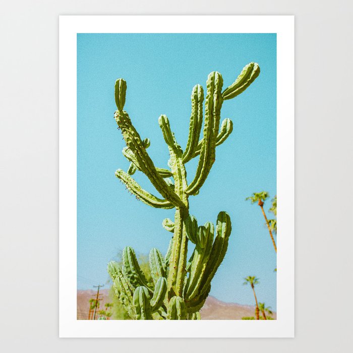 The Wild Thing of Palm Springs - CA Art Print