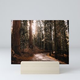 Walking Sequoia 4 Mini Art Print