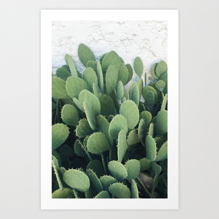 Cactus Cacti Green Desert Art Print