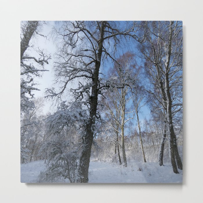 Scottish Highlands Snow Covered Nature Trail  Metal Print