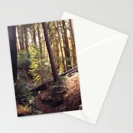 redwoods Stationery Cards