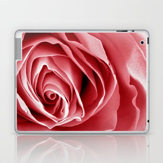 Pink Rose Macro Laptop & iPad Skin