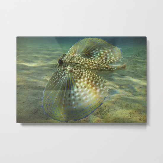 Blue Ray Metal Print