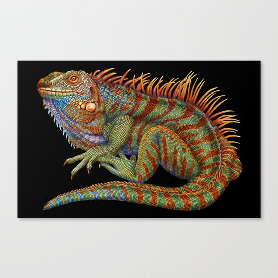 Iguana 2 Canvas Print