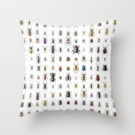 Beetlemania / Get your entomology on! Throw Pillow