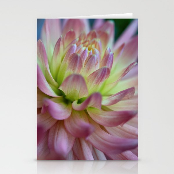 Pink And Yellow Dahlia Macro Photography Stationery Cards