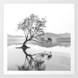 Wanaka Tree New Zealand Nature Photograph Black And White Art Print | Wanaka Tree, Reflection, Black and White, Tree, Nature, Natural, Nz, Black And White, Famous Tree, Lake 