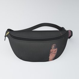 Poe red death - byam shaw  Fanny Pack