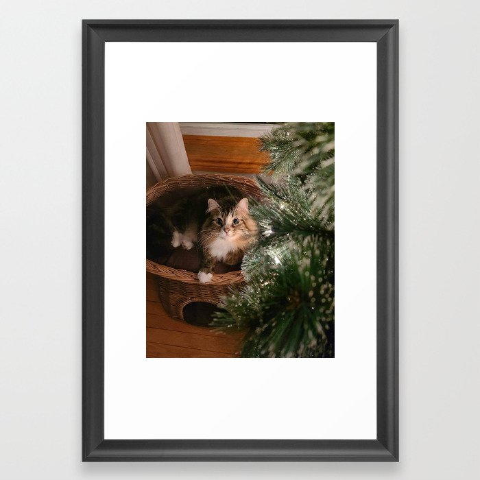 Christmas Cat Framed Art Print