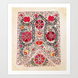 Lakai Suzani Uzbekistan Central Asian Embroidery Print Art Print