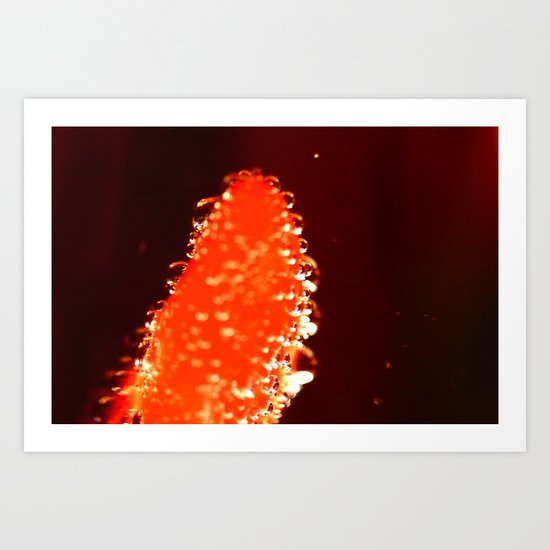 unknown Art Print