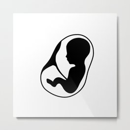 Fetus inside the womb with placenta attached Metal Print